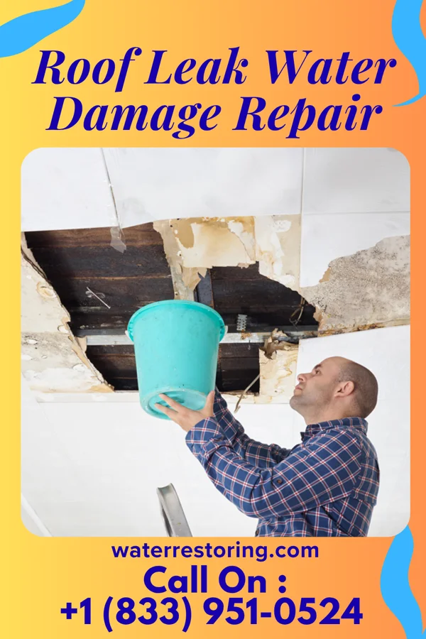Roof Leak Water Damage Repair in Haskell, TX